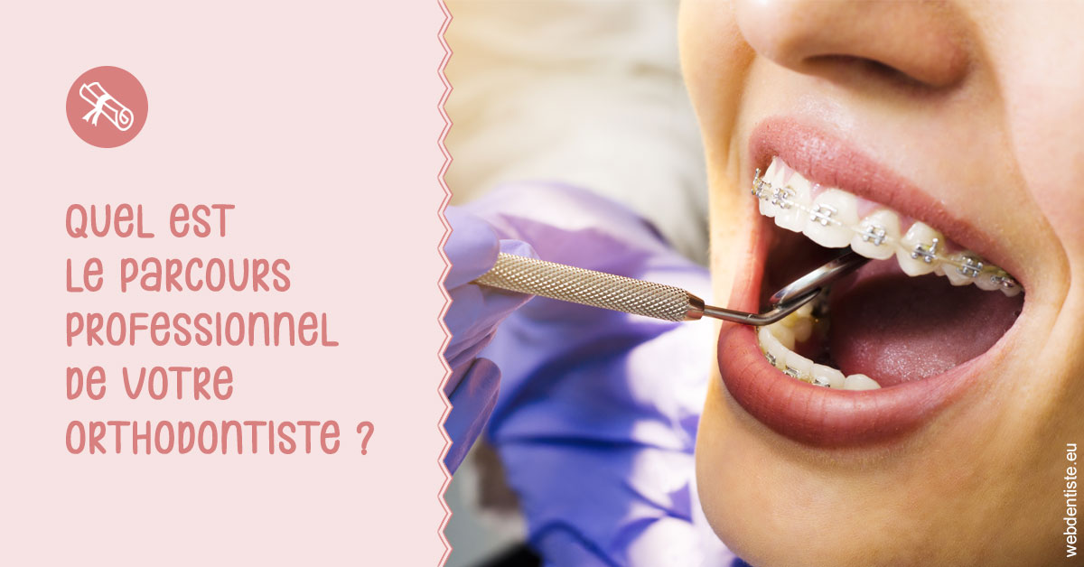 https://dr-voican-ioana.chirurgiens-dentistes.fr/Parcours professionnel ortho 1