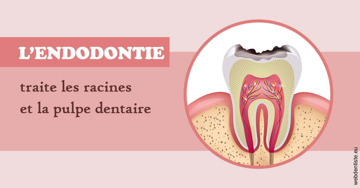 https://dr-voican-ioana.chirurgiens-dentistes.fr/L'endodontie 2