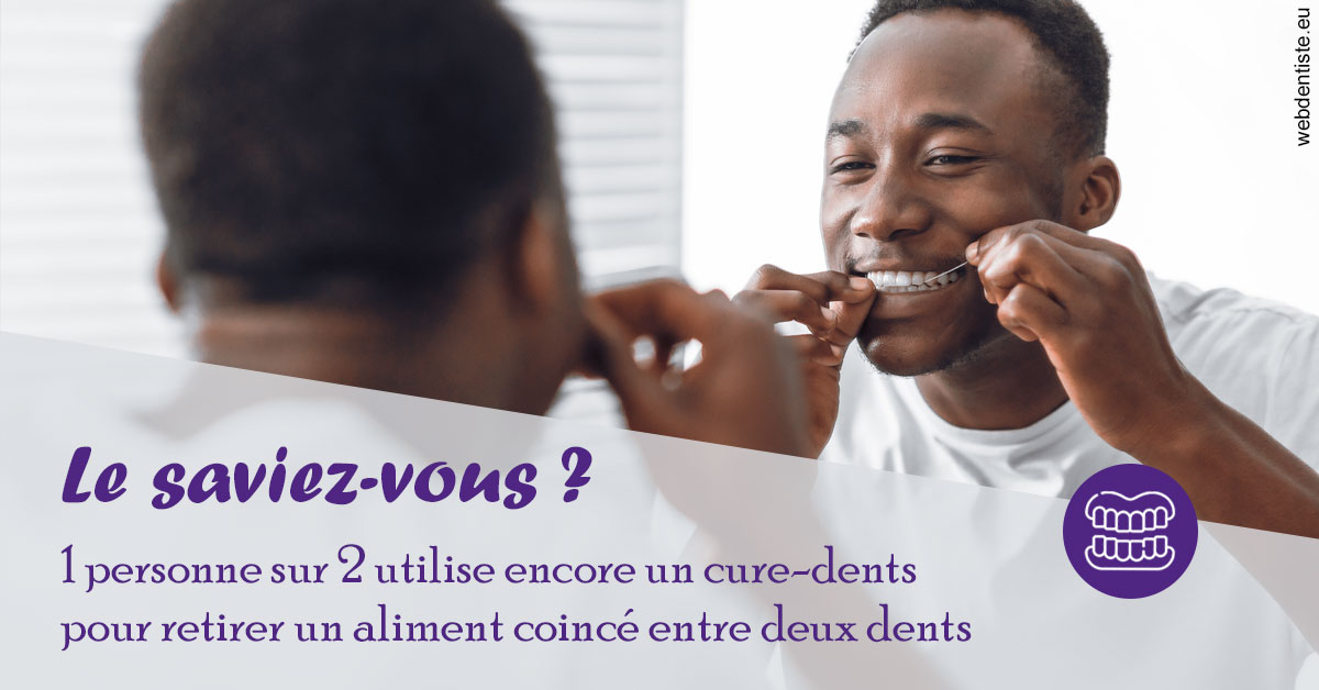 https://dr-voican-ioana.chirurgiens-dentistes.fr/Cure-dents 2