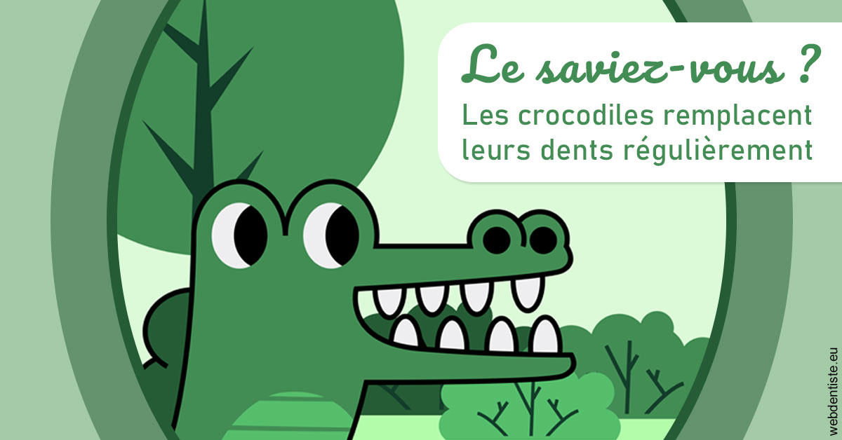 https://dr-voican-ioana.chirurgiens-dentistes.fr/Crocodiles 2