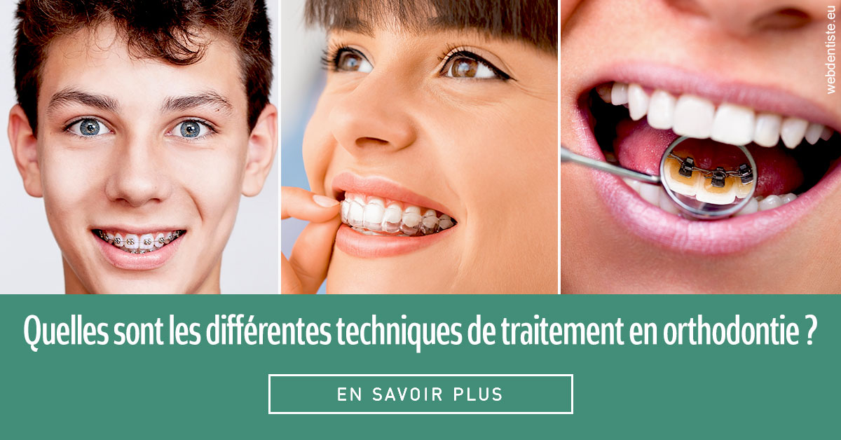 https://dr-voican-ioana.chirurgiens-dentistes.fr/Les différentes techniques de traitement 2