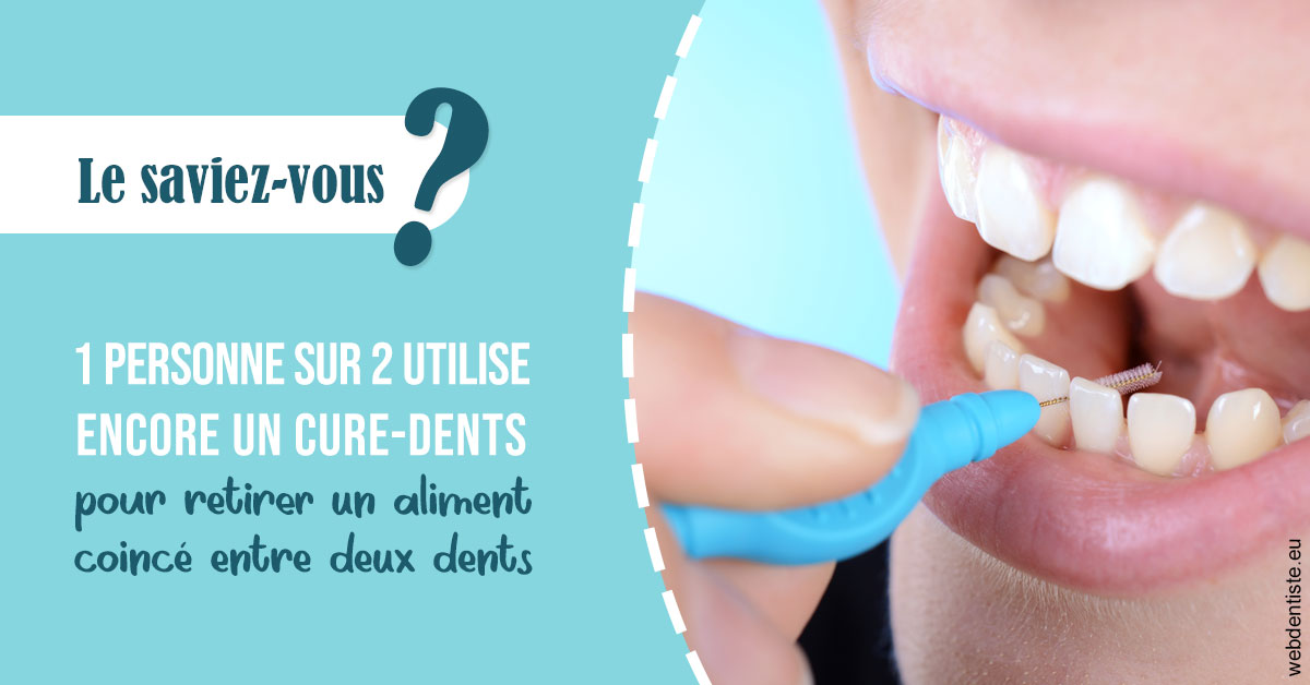 https://dr-voican-ioana.chirurgiens-dentistes.fr/Cure-dents 1